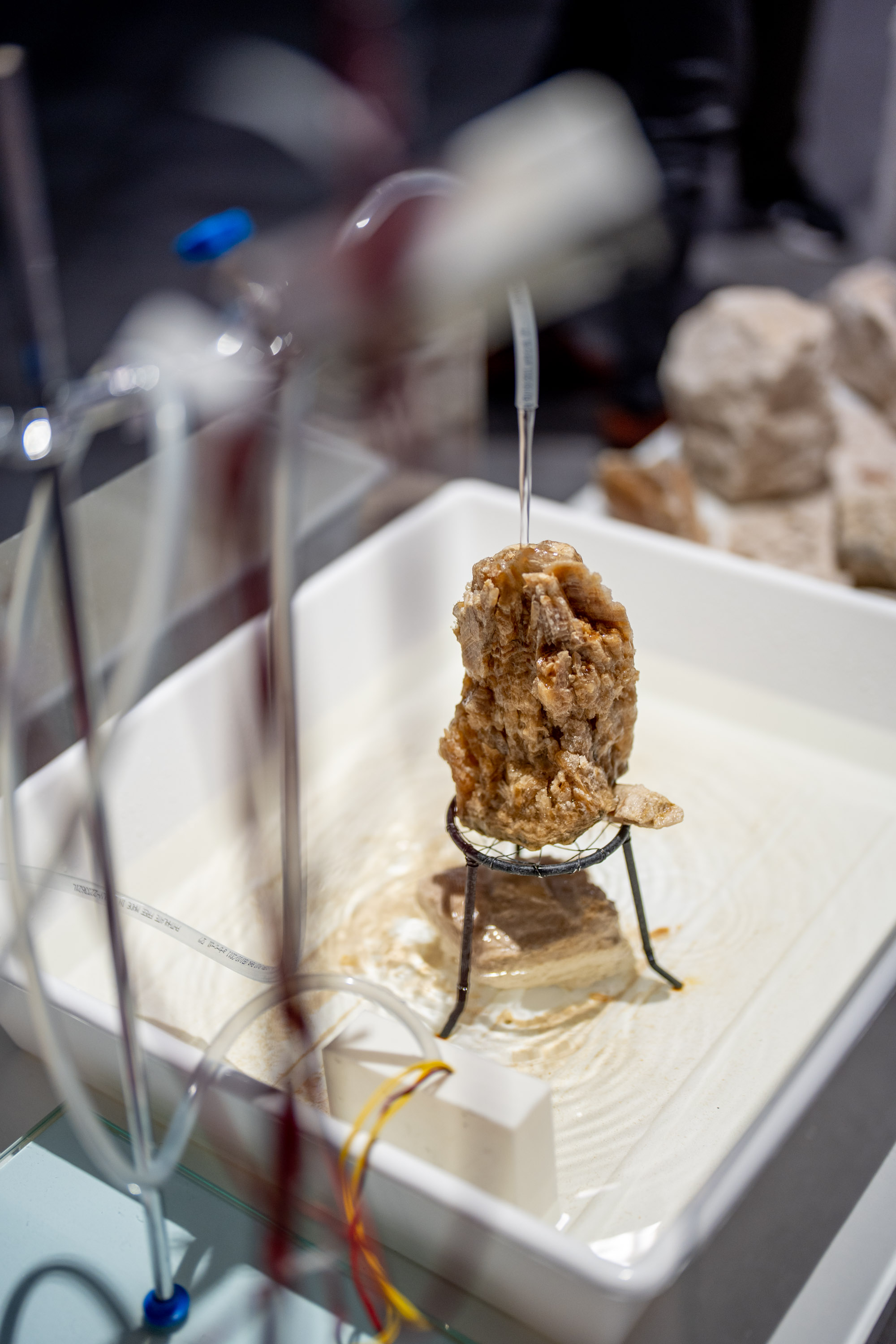 Karolina Sobel , art installation , Paris , städtische Galerie Karlsruhe , cite des artes Paris 